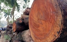 Cận cảnh bãi tập kết 