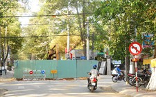 ​Nơi cây xanh sống bình yên