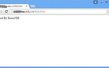 ​89 website Việt Nam bị tấn công