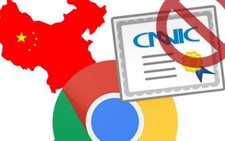 Google loại 