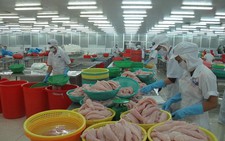 ​Xuất khẩu cá tra vẫn có triển vọng tốt