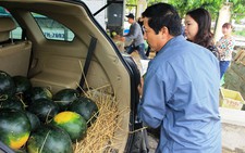 Bán dưa hấu giúp nông dân Quảng Nam