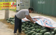 Dưa Bình Định, Quảng Nam ra Hà Nội thành 