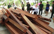 Bắt xe chở gỗ quý không nguồn gốc từ Campuchia