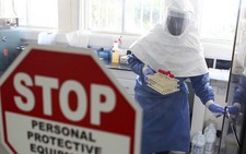 ​Thuốc thử nghiệm Ebola chữa lành bệnh cho khỉ