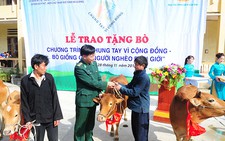 “Bò giống giúp người nghèo biên giới”: Chung tay cùng “Miền đá xám”