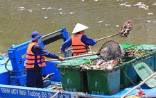 Cá chết trắng kênh Nhiêu Lộc - Thị Nghè