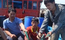 Ba ngày, hai tàu cá báo bị tàu Trung Quốc tấn công