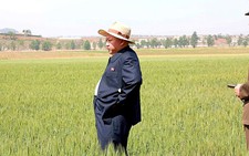 Triều Tiên hạn hán nghiêm trọng nhất 100 năm qua