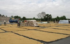 ​Quy định mua, bán hàng dự trữ quốc gia