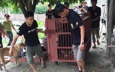 Giao 4 gấu ngựa cho Trung tâm cứu hộ gấu tại Tam Đảo