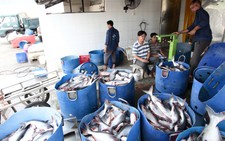 Nghẹt thở với đủ kiểu 