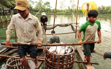 Cả nước có thêm ​45.000 doanh nghiệp thành lập mới