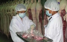 Công khai cơ sở chăn nuôi sử dụng chất cấm