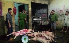 Giết mổ heo chết vì bệnh bán ra thị trường