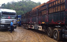 Ổ ạt mua xe đầu kéo để không chở quá tải