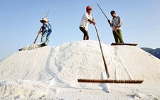 Kiến nghị mua tạm trữ hơn 90.000 tấn muối