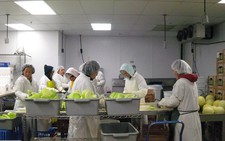 ​6 tháng, xuất khẩu lao động đạt gần 60%