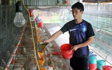 Trưởng thành từ trại thực nghiệm