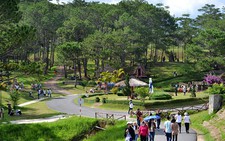 ​Cẩm nang tự cứu