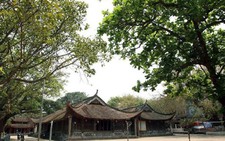 ​Triển lãm 