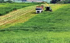 Cơ cấu lại nợ cho khách vay nông nghiệp gặp khó khăn