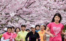 Du khách Việt sang Nhật tăng mạnh