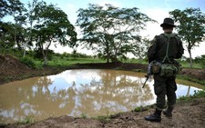 ​Colombia: chia đất cho dân nghèo
