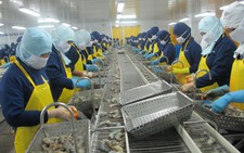 Nên miễn thuế nguyên liệu nhập để sản xuất  hàng hóa xuất khẩu