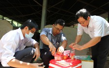 Truy nơi bán nguyên liệu sản xuất chất cấm cho heo