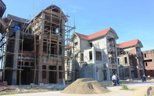 Dự án 50 triệu đô 