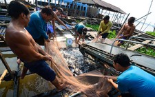 Bỏ quy hoạch con tôm, con cá: Các bộ tranh cãi quyết liệt