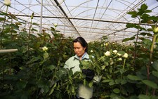 Đà Lạt có cơ chế đặc thù