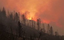 Chùm ảnh cháy rừng dữ dội ở California