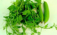 Dùng thức ăn thừa 