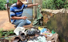 Điểm thu mua sầu riêng bị ném bom xăng dằn mặt người mua