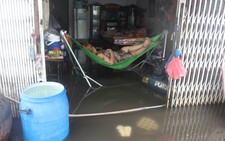 Trân mình sống cùng nước ngập
