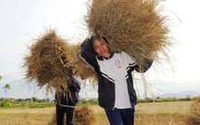 Côi cút vượt lên số phận