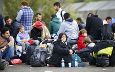 Hungary mở lại cửa biên giới