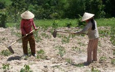 Đầu tư 48.397 tỉ đồng để giảm nghèo tới 2020