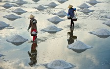 ​Giá muối tăng nhờ tạm trữ