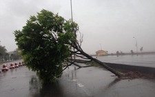 ​El Nino cường độ mạnh sẽ kéo dài đến giữa năm 2016