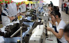 Chăn nuôi gặp nhiều khó khăn nhất khi TPP có hiệu lực