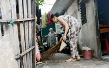 Lùng và  diệt muỗi