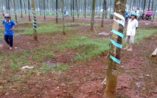 Đâm chết bạn nhậu chỉ vì mâu thuẫn nhỏ