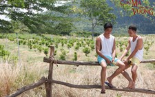 Con ma nhà họ Vương: Kinh dị vừa vừa, đậm đà... đồng tính