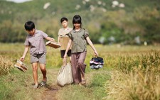 1-12: Liên hoan phim Việt Nam lần XIX