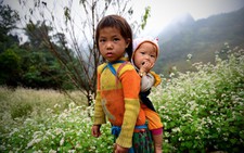 “Chiến dịch” tam giác mạch