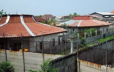 Indonesia đề xuất cho cá sấu 