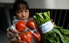 Biết mua thực phẩm sạch ở đâu!